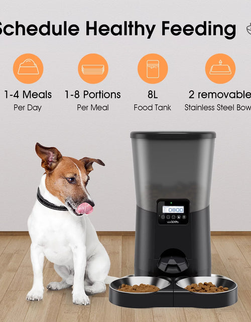 Load image into Gallery viewer, Automatic Dog Feeders, Pet Food Dispenser, Cat Feeder with Dual Stainless Steel Bowl for 2 Cats Pets, 8L, Black
